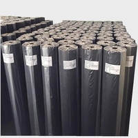 Tissu non tissé Rayson Sunshine 70g x 1 m x 50m en rouleau PP pour le contrôle des mauvaises herbes agricoles