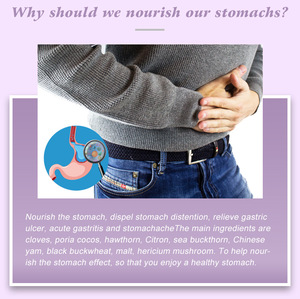 Thé Premium WANFU pour les ulcères, 20 sachets de thé, 50g, soulagement des maux d'estomac, <span class=keywords><strong>bien</strong></span>-être gastrique quotidien, durée de conservation de 36 mois, livraison rapide - Product Image 3