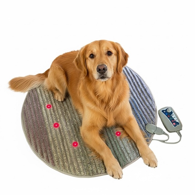 Crystal Heating Massage Mat for Home Wellness & Yoga Meditation Magnetic Photon Cushion with PEMF for Pets and Humans