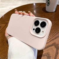 Her Şey Dahil 16/15/17promax/17pro/17air Sıvı Silikon Telefon Kılıfı Manyetik Halka Tutucu Ayna Kaplama