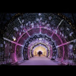 Waterproof Aluminum Alloy Multi Color Arch Tunnel Festival <b>Lights</b> For Park Walkway Christmas Event Entrance Holiday Decoration - Product Image 1
