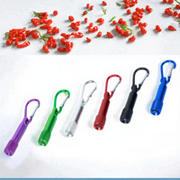 Mini lampe torche à thème animal personnalisée, porte-clés en métal, impression en relief, cadeau