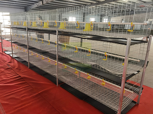 Jaulas <span class=keywords><strong>de</strong></span> malla <span class=keywords><strong>de</strong></span> alambre galvanizado Great Farm para pollos <span class=keywords><strong>de</strong></span> engorde en granjas avícolas - Product Image 1