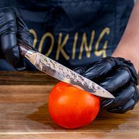 Ensemble de couteaux de cuisine professionnels en acier inoxydable 3Cr13 à motif martelé, 2 pièces, avec manche en bois Pakka