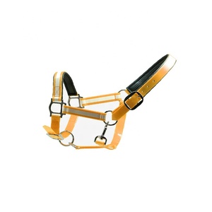 Sangles réfléchissantes en alliage de Zinc, sangles revêtues de PVC, Clip rembourré de <span class=keywords><strong>cheval</strong></span>, dos nu, ajustable, nouvelle collection, - Product Image 2