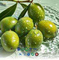 Capsules antioxydantes, complément de spermidine, spermidine, ginsénoside, extrait de fruit d'olivier, PQQ, dihydroquercétine, capsules de spermidine