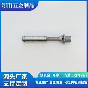 Tige de valve de pneu solide, diamètre max. 20 mm, longueur 80 mm, pour remplacement, réparation, tournage, usinage, finition, précision - Product Image 2