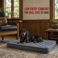 Matelas orthopédique pour chien à profil bas 58x43cm 8cm gris matelassé, lit pour petit chien pour la vie en bungalow