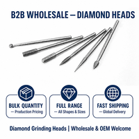 Ensemble de 30 têtes de meulage diamantées, tige de 3 mm, accessoires pour outils rotatifs, fraises de sculpture pour pierre, jade, bois, verre, métal
