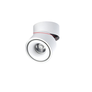 360 Degree Rotatable LED Ceiling Spot <b>Light</b> Modern Design Indoor Surface Mounted Downlight Aluminum Body IP33 Rated Dimmable 24 - Product Image 1