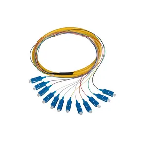 12 Core Sc Upc Unjacketed Color Code Fiber Optic Pigtail