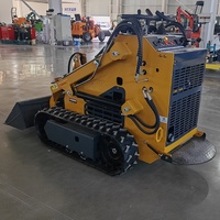 Mini binario caricatore diesel caricatore pista Skid Steer con moncone smerigliatrice foresta falciatrice