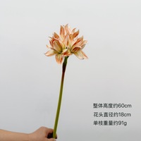 Kunstmatige amaryllisbloemen, EVA Clivia met een realistisch gevoel, boeketten voor bloemendesign, model voor kamervoorbereiding, fotografie-accessoires