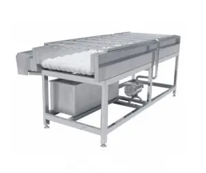 Leaf Stems Vegetable Cleaning Machine Vegetable Cleaning Processing Line Clean Vegetable Processing Equipment Line