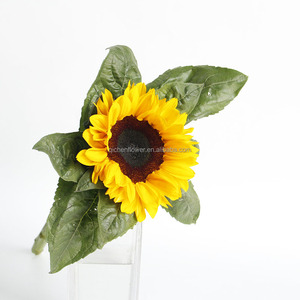 I girasoli hanno assunto un significato simbolico in varie culture, rappresentando ledegnità, l'adorazione e la longevità. Eroli sacri - Product Image 4
