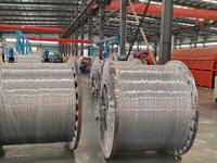 Câble ACSR monobrin en aluminium toronné Almelec, câble d'alimentation aérien, conducteur nu