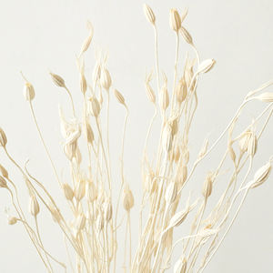 Carillon à vent naturel en forme de fleur et de fruit, artisanat, assorti d'un arrangement floral en bouteille flottante en herbe - Product Image 3