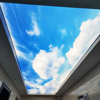 Système de plafond tendu rectangulaire en PVC et aluminium pour intérieur, ignifuge, avec film transparent, pour centre commercial, éclairage décoratif