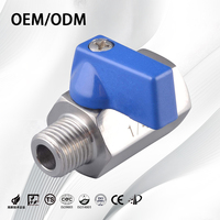 Mini-vanne à boisseau sphérique en acier inoxydable 304, manuelle, filetage BSP NPT pour gaz