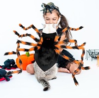 CHENSHI Décoration d'araignée lumineuse pour Halloween, costume pour animaux de compagnie (chats et grands chiens), utilisation intérieure/extérieure