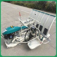 Transplanteur de riz économique avec machine à planter le riz robuste pour les petites exploitations.