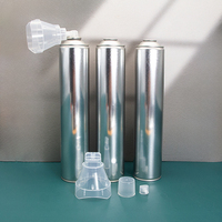 Bombe aérosol vide pour oxygène, conteneur aérosol vide pour oxygène, boîte en fer blanc vide pour oxygène, conteneur aérosol vide pour oxygène pour camping en extérieur