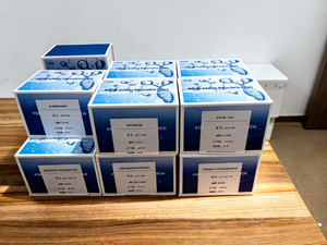 Kit ELISA para <span class=keywords><strong>Tromboxano</strong></span> <span class=keywords><strong>A2</strong></span> Humano (TX-<span class=keywords><strong>A2</strong></span>) para Uso en Investigación, para Medir Niveles de TX-<span class=keywords><strong>A2</strong></span> en Suero, Plasma y Fluidos Biológicos - Product Image 3