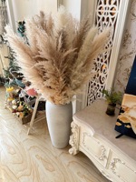 Rumput Pampas Kering Alami Warna Beige untuk Pernikahan, Rumah, dan Hotel (Grosir)