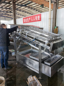 Machine de calibrage de homards, machine à décortiquer les crevettes et les écrevisses, éplucheur de crevettes en acier inoxydable, machine à éplucher les crevettes et les homards - Product Image 6