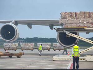 אוויר זול הובלה/fight קדימה מסין כדי ברזיל מקסיקו קנאדה uae משלוח ל th usa/משלוח סוכן אוויר lcl אקספרס - Product Image 3