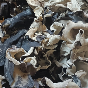 เชื้อราสีดำสำหรับการปรุงอาหาร/แห้งหมดจด/ตัวเลือกทั้งหมดหรือหั่นบางๆ - Product Image 1