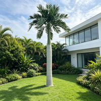Palmiers artificiels géants d'extérieur : Faux palmiers à noix de coco, palmiers royal dattier, Washingtonia, Areca – Idéaux pour projets de paysagisme et de complexes hôteliers, résistants aux UV et ignifuges.