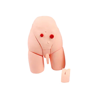 Simulador de Cateterización Uretral Masculina/Femenina, Material de PVC, Modelo Anatómico de Tamaño Real Humano