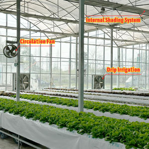 Baolida 대형 PE 더블 레이어 완전 자동화 환기 및 환경 제어 기능을 갖춘 다경간농업 온실 - Product Image 4