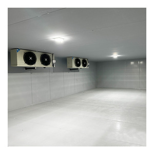 Chambre froide industrielle sur mesure à <span class=keywords><strong>prix</strong></span> réduit pour le stockage de fruits, légumes et viande – Congélateur de plain-pied - Product Image 3