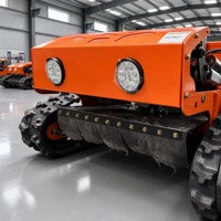 Tondeuse à pente sur chenilles télécommandée, compacte, certifiée CE EPA, débroussailleuse chinoise OEM personnalisée pour ferme et jardin, directement de l'usine