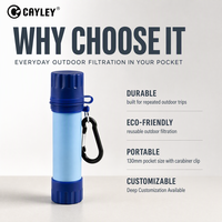 Paille filtrante à eau portable, purificateur d'eau personnel pour le camping, la randonnée, les situations d'urgence, la filtration de l'eau potable