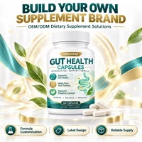 Capsules pour la Santé Intestinale à Marque Blanche, Formule Quotidienne à Base de L-Glutamine pour Adultes, Soutient la Revêtement Intestinal, Fabrication Directe Usine, OEM ODM