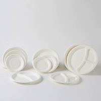 Assiette jetable biodégradable et compostable en bagasse de canne à sucre à 3 compartiments de 10 pouces pour l'emballage alimentaire de fêtes et de buffets