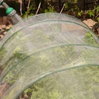 Filet anti-insectes en HDPE blanc résistant aux UV pour la lutte antiparasitaire agricole en serre, jardin et verger