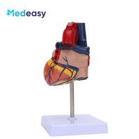 Modelo anatómico de plástico modelo de corazón 3D modelo de enseñanza de corazón médico para anatomía