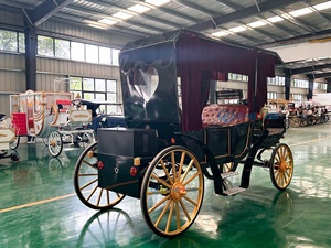Carroza de Caballos Zhenda para 6 Personas, para Paseos Turísticos al Aire Libre, Bodas Románticas, Estructura de Acero, Neumáticos de Goma Sólida - Product Image 4
