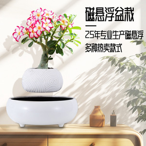 Planta en <span class=keywords><strong>maceta</strong></span> de levitación magnética, <span class=keywords><strong>maceta</strong></span> aérea, planta en <span class=keywords><strong>maceta</strong></span>, sala de estar, oficina, escritorio, decoración creativa, regalo - Product Image 3