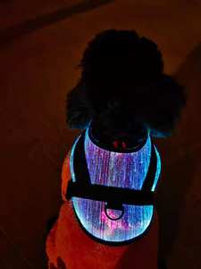 Roupas para cães de estimação em fibra óptica LED luminosa para uso em todas as estações disponíveis - Product Image 5