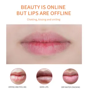 New Make Up Label Pribadi Hebat Laris Pelembap Bibir Suhu Berubah Warna Lipstik