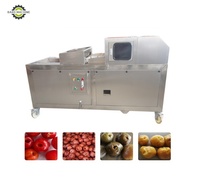 Machine commerciale à retirer les noyaux et les pépins des abricots, pêches, jujubes, cerises, olives, prunes séchées et pommes, facile à utiliser