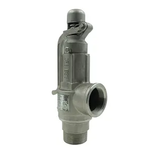 DKV Full Bore Type Safety Valve SS316 Low Lift Lever Type Safety Pressure Relief Valve with PTFE Seal Spring Loaded Manual Valve