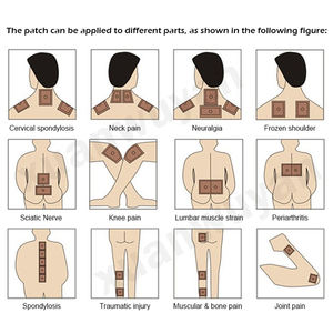 मांसपेशियों और संयुक्त आराम, प्राकृतिक मिर्च निकालने के लिए गर्मी चिकित्सा, प्राकृतिक मिर्च निकालने का सूत्र (ओएम/थोक) - Product Image 3