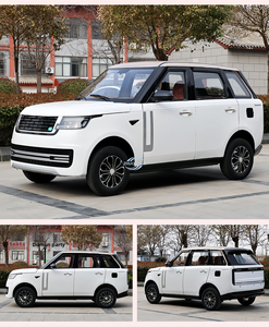 Hotel Transport Off Road EV 201-300km <b>Range</b> 110kWh Battery 500Nm Torque Adult - Product Image 4