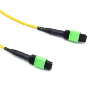 Kabel Patch Fiber Optik MPO APC ke MPO APC Singlemode Kompatibel 5G Bersertifikasi CE/FCC Garansi 3 Tahun
